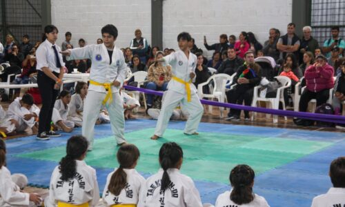 Torneo Interprovincial de Taekwondo